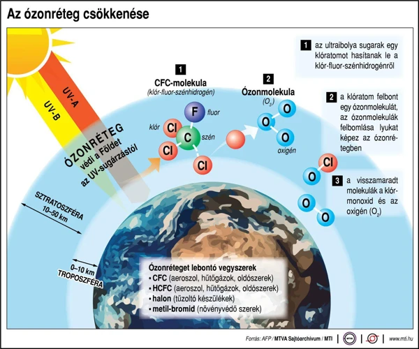 Célkitűzések Meghatározása