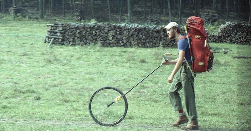 Rendszerező És Szervező Pozíciók