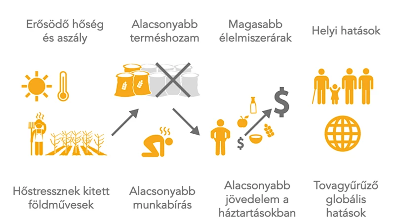 A Fenntartható Gazdaság Előnyei