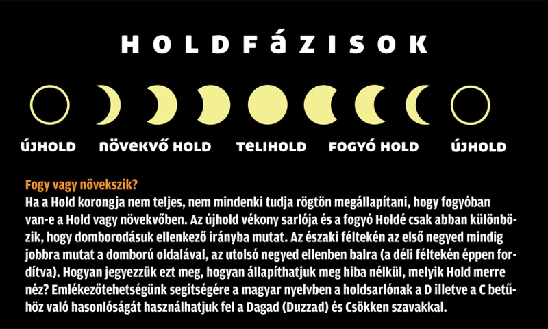 A Holdfázisok És A Zene